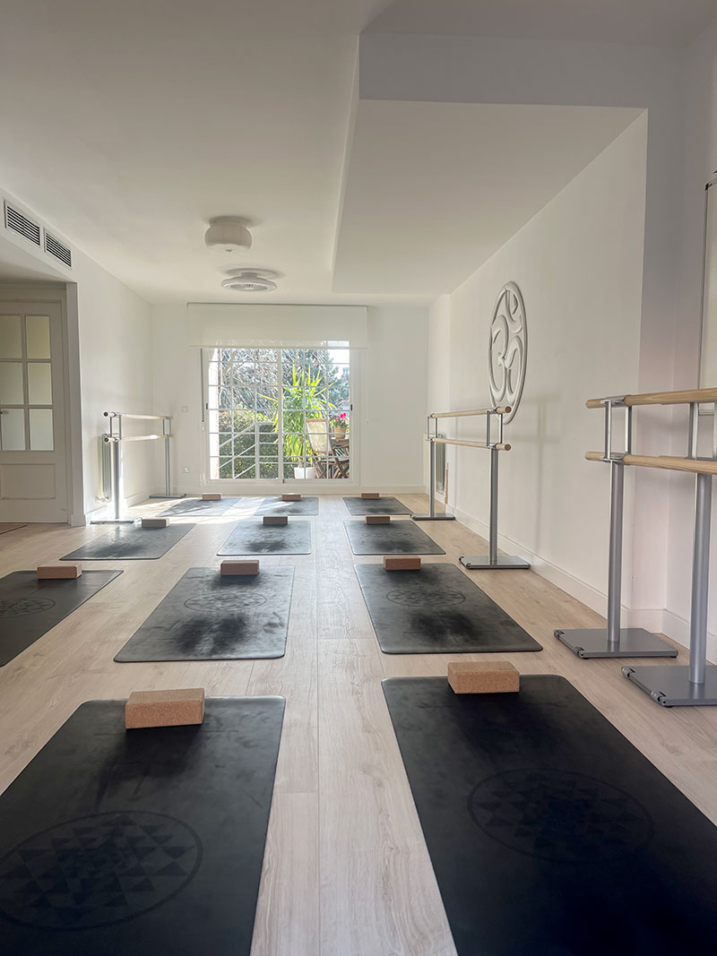 Prácticas y técnicas de yoga