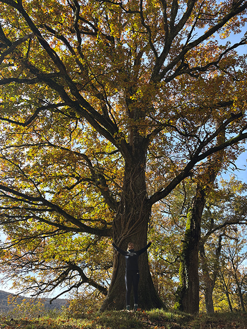 Prácticas y técnicas de yoga